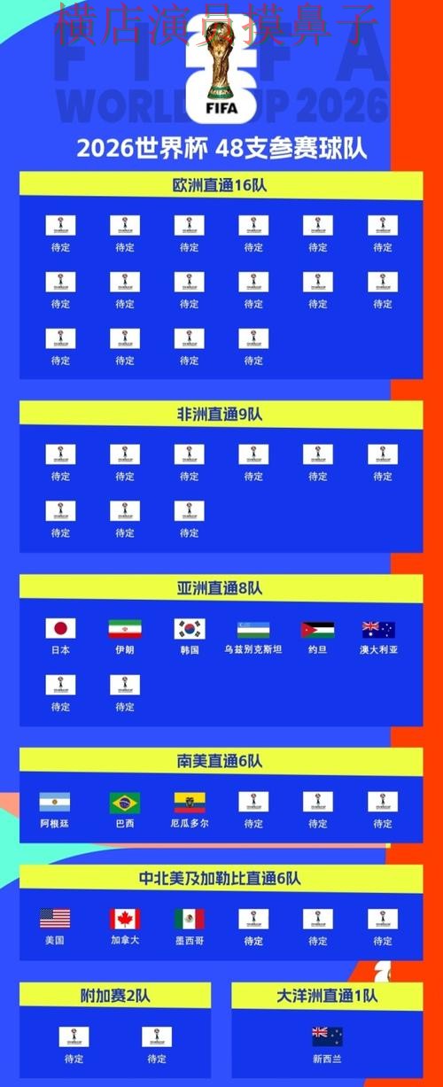 盘点世界杯买球平台：从官网直达到直播观看全流程解析 - 2026世界杯